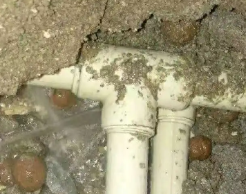 资中测漏水多少钱