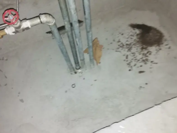 资中卫生间测漏水价格明细